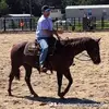 Grant Byrd - @byrdsperformancehorses - TikTok