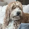 Grant Combs - @grantt.com - TikTok