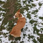 Grant cooley - @grantcooley24 - Instagram