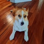 Grant cooley - @grantcooley25 - Instagram