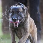 Grant Coyne - @grant.coyne - Instagram