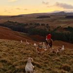 Grant Cummings - @grant.cummings.336 - Instagram