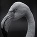 Grant Daugherty - Facebook