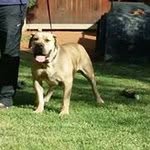 Grant Davids - @grantdavids5 - Instagram