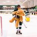 Grant Dewitt - Facebook