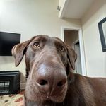 Grant Ellington - @grantellington1 - Instagram