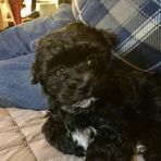 Grant Fleming - Facebook