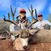 Grant Gillespie - Facebook