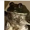 Grant Gilmore832 - @grantgilmore1234 - TikTok