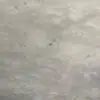 grantkglaze - @grantkglaze - TikTok