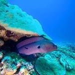 Grant Gower - @gowergrant - Instagram