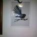 Grant Gower - Facebook