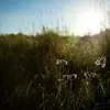 Grant Green - @grantgreen508 - TikTok