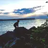 Grant Guess - @grant.guess - TikTok