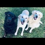 Grant Harman - @granrharman - Instagram