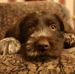 Grant Harper - Facebook