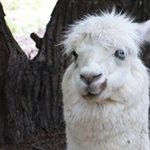 Grant Hatch - @grant.hatch - Instagram