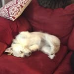Grant Hatcher - @grant.hatcher.984 - Instagram