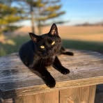 Grant Hedrick - Facebook