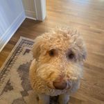 Grant Hendrickson - @granthendrickson73 - Instagram