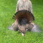 Grant Henry - @granthenry7357 - Instagram