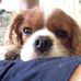 Grant Hood - Facebook