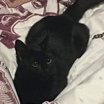 Grant Hooker - @pickel_grant - Instagram