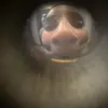 grant.hooper12 - @grant.hooper12 - TikTok