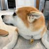 Grant - @grant.hui - TikTok
