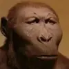 Grant Hunt162 - @memedude129 - TikTok