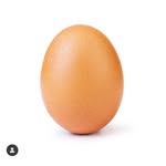 Granja Imhof - @granjaimhof - Instagram