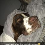 Grant Jamison Roy Cordel Baker - @grant.baker12 - Instagram