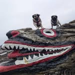Grant Jepson - @grant.jepson.10 - Instagram
