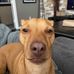 Grant Johnson - Facebook