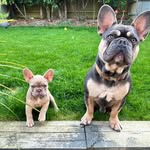 Grant keeler - @grantgdkeeler - Instagram