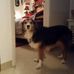 Grant Kenney - Facebook