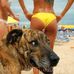 Grant Kessler - Facebook