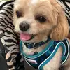 grantkim3897 - @grantkim3897 - TikTok