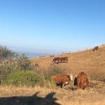 Grant - @grant_knapp - Instagram
