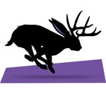 Grant Larson Productions - @grantlarsonproductions - Instagram