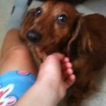 @grant_lax__ - Instagram