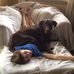 Grant Ledingham - Facebook