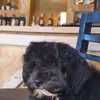 LUCKY - @grantleggus - TikTok