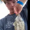 Grant - @grantdillard31 - TikTok