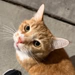 Grant Lim - @drgrantlim - Instagram