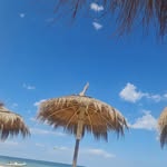 Lìmmi Grant - @grantlimmi - Instagram