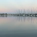 GrantLinkX - @grantlinkx - Instagram