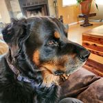 Grant Little - @lukelickalotlittle - Instagram