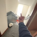Grant Littlejohn - @grant.2220 - Instagram