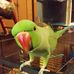 Grant Lockhart - Facebook